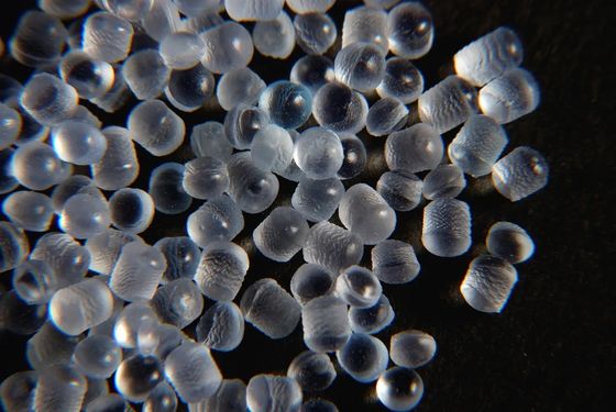 Het transparante Doorzichtige TPE-Thermoplastische Elastomeer van de Korrels Super Zachte TPE Korrel SEBS